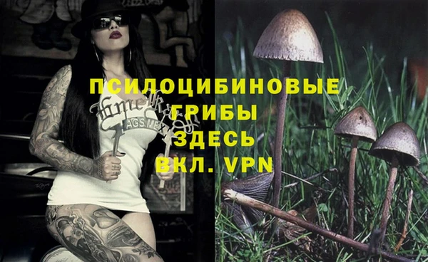 спайс Фурманов