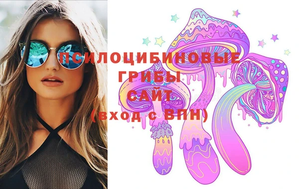 соль ск Горняк