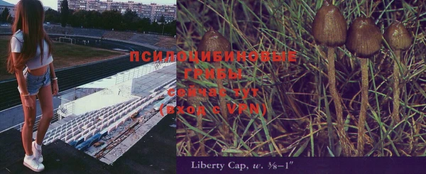 мдпв Горно-Алтайск