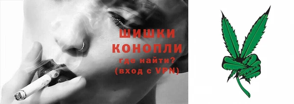 мдпв Горно-Алтайск