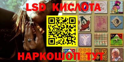 шишки Бузулук