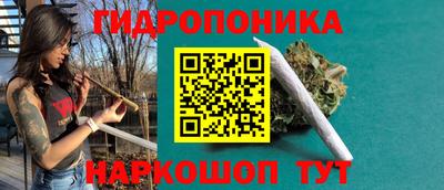 шишки Бузулук