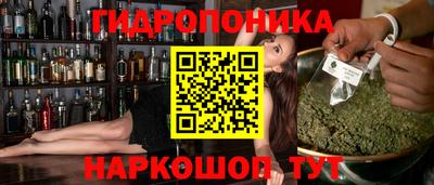 шишки Бузулук