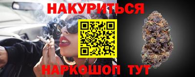 гидропоника Будённовск