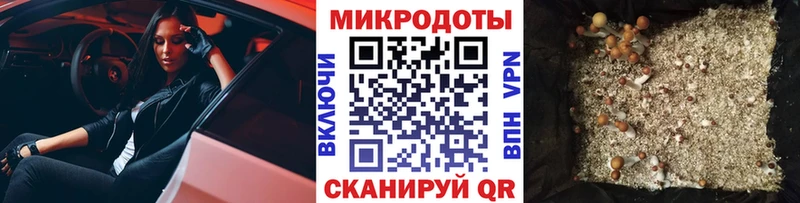 Псилоцибиновые грибы Psilocybine cubensis  Богородицк 