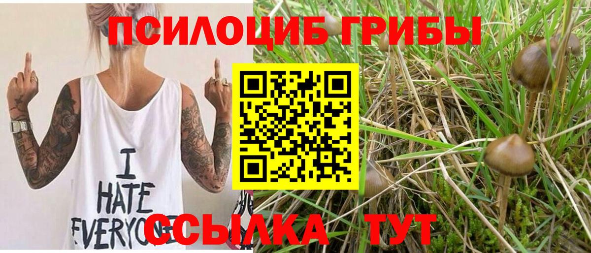 Галлюциногенные грибы мухоморы  Богородицк 